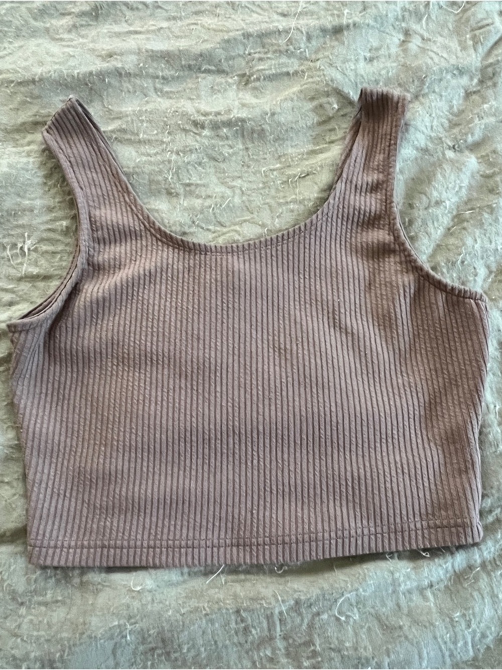 Trendy Queen Women’s Cropped tank Top Size Small Summer Minimalist Neutral